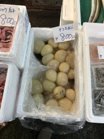 IMG_1059 IMG_1059-e1539493790984